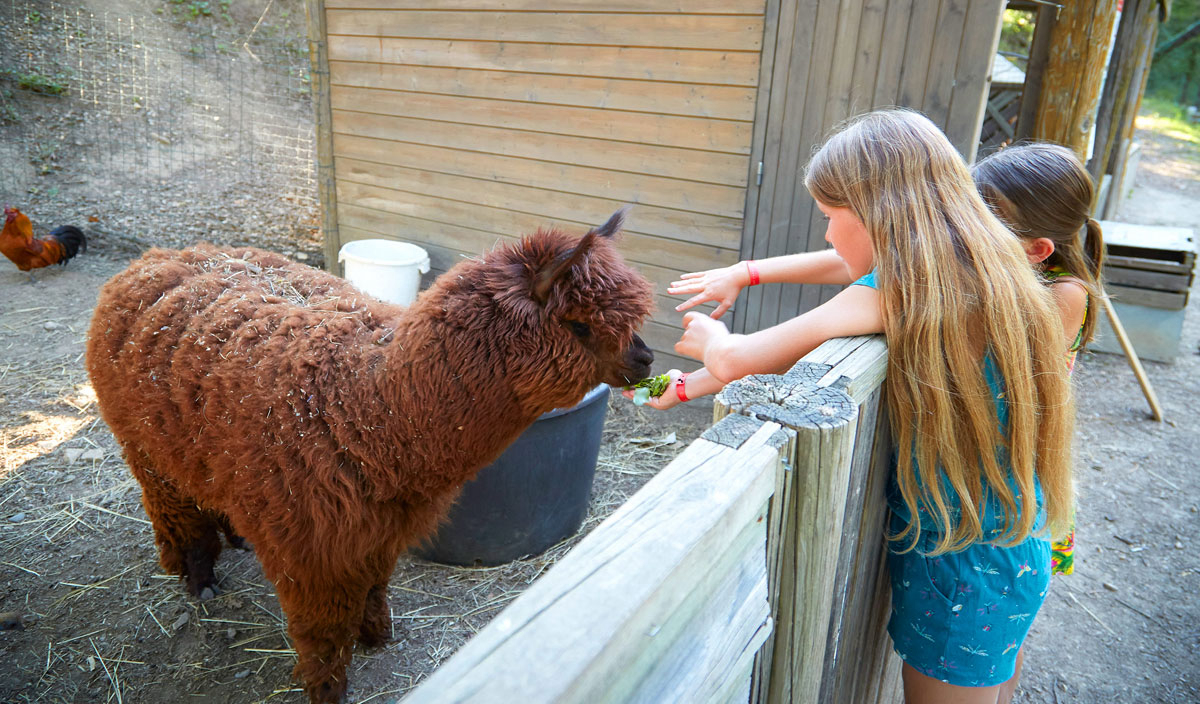 Verdon Parc Provenza-Alpes-Costa Azul - Gréoux-les-Bains visuel 14/31