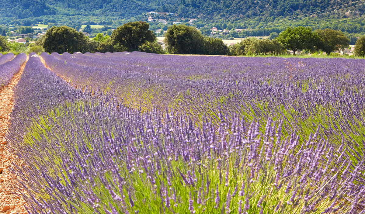 Verdon Parc Provenza-Alpes-Costa Azul - Gréoux-les-Bains visuel 28/31