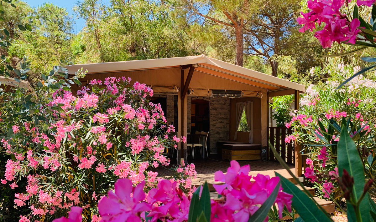 Village Rocchette Toscana - Castiglione della Pescaia visuel 26/62 Village Rocchette Toscana - Castiglione della Pescaia visuel 26/62