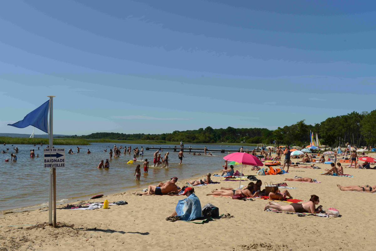 Le Pipiou Aquitania - Parentis-en-Born visuel 11/11