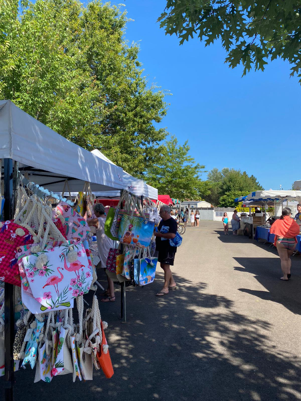 Le Pipiou Aquitania - Parentis-en-Born visuel 3/11