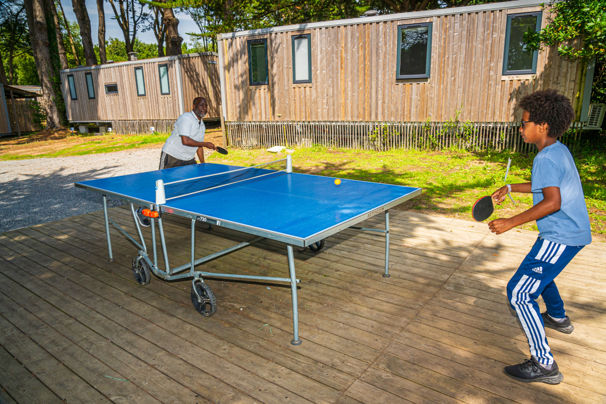 Les Ajoncs d'Or Países del Loira - La Baule-Escoublac visuel 25/42