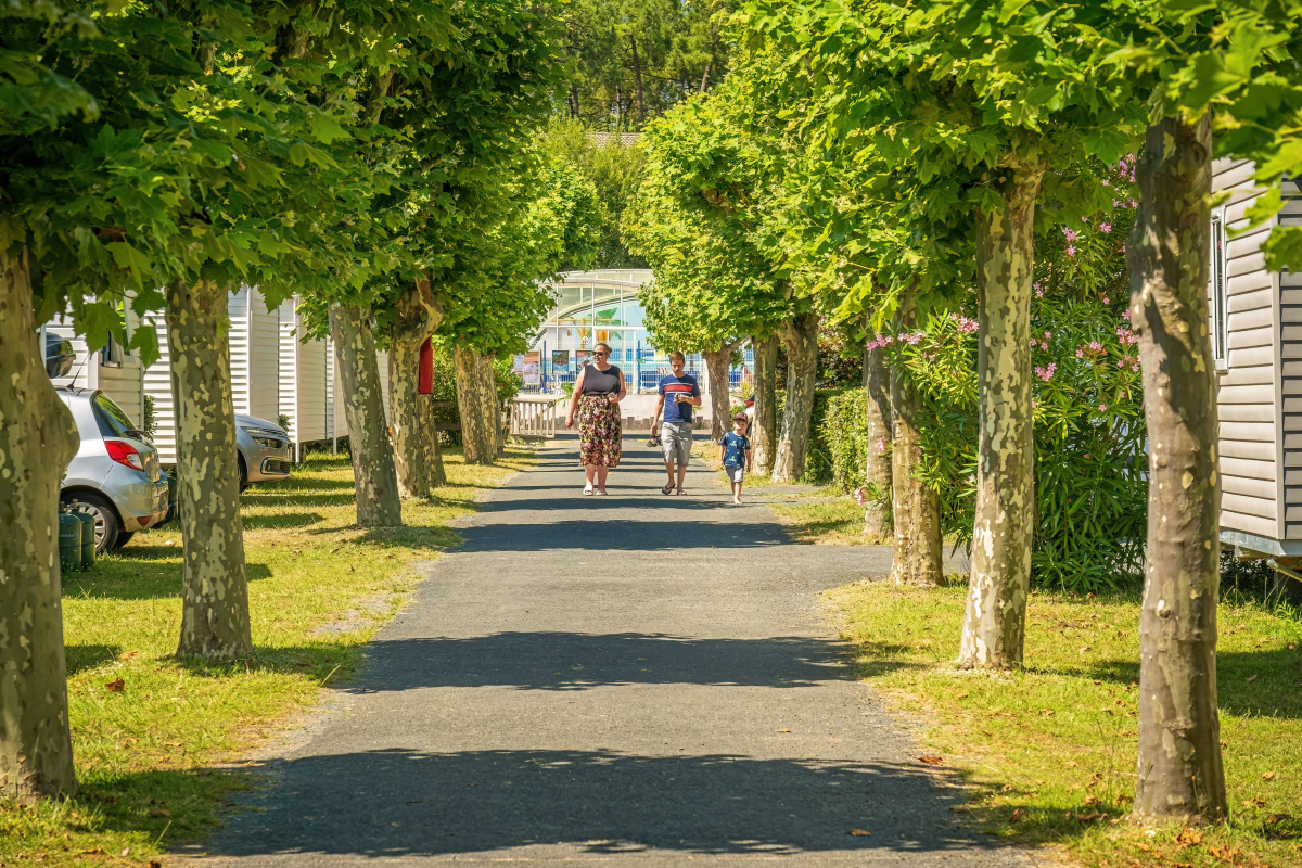 Les Flots Bleus Países del Loira - La Faute-sur-Mer visuel 7/30 Les Flots Bleus Países del Loira - La Faute-sur-Mer visuel 7/30