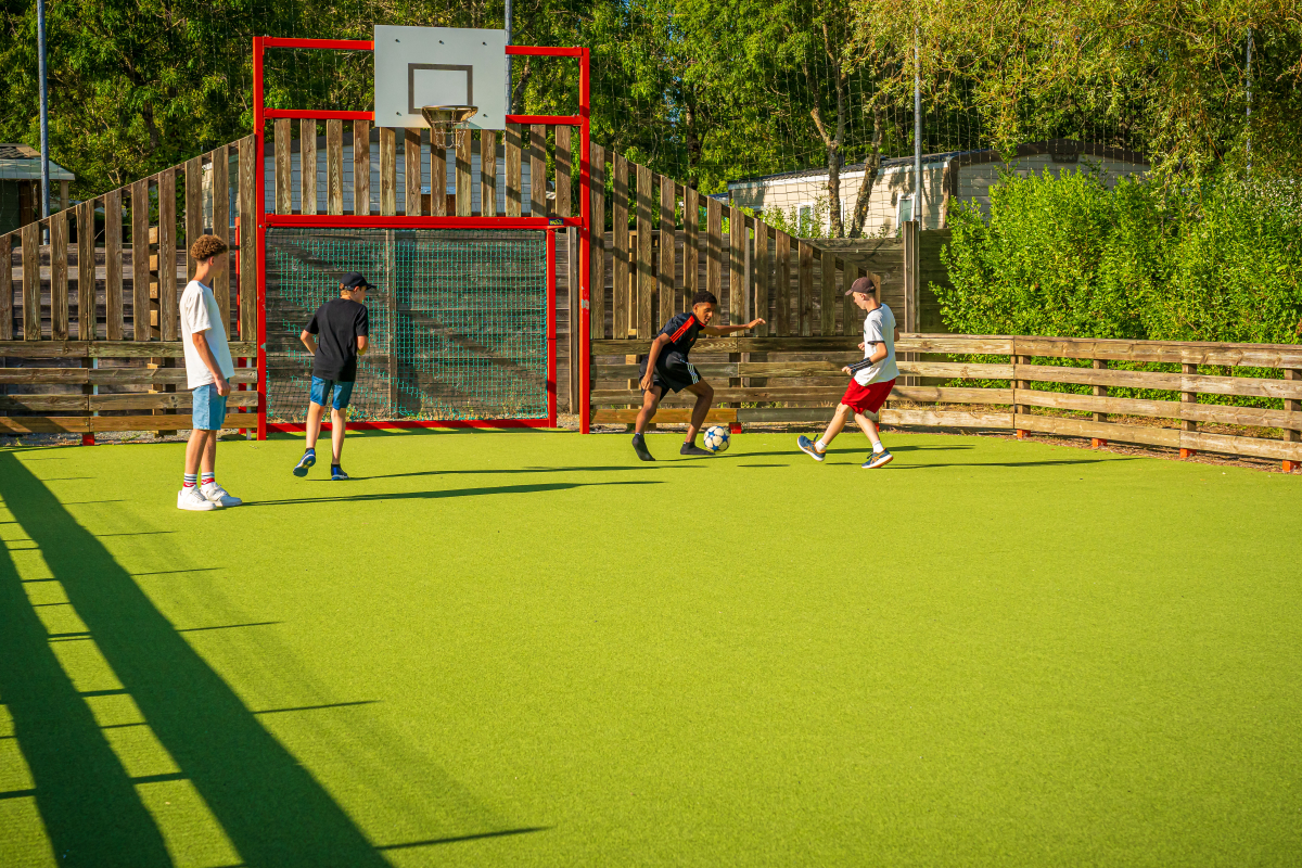 Oléron Loisirs Poitou-Charentes - Saint-Georges-d'Oléron visuel 12/39 Oléron Loisirs Poitou-Charentes - Saint-Georges-d'Oléron visuel 12/39