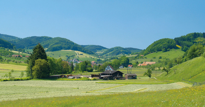 Camping Kinzigtal - steinach