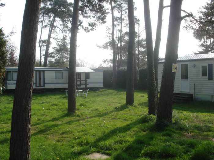 Camping Sous Les Sapins - LA BONNEVILLE SUR ITON