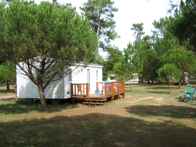 CampingAtlantique Forêt - Les Mathes-La Palmyre - Poitou-Charentes - Francia CampingAtlantique Forêt - Les Mathes-La Palmyre - Poitou-Charentes - Francia
