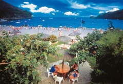 Camping - Rosas - Costa Brava - Cala Montjoi Camping - Rosas - Costa Brava - Cala Montjoi