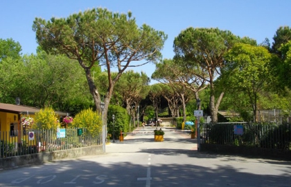 Camping Dal Pino - Marina di Massa