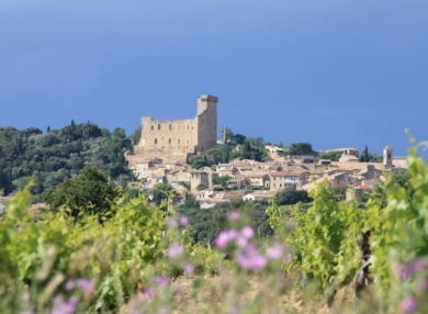 Camping l'Art de Vivre - Châteauneuf-du-Pape