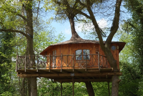 Camping Le Nid dans l'Arbre - Pierrefonds