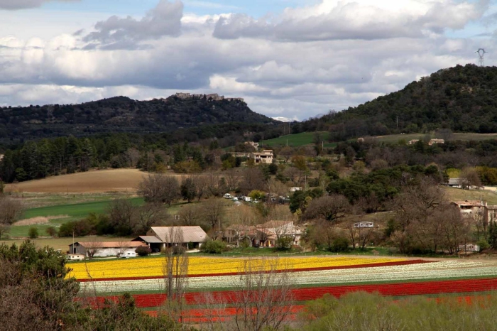 Camping Les Coccinelles - Lurs