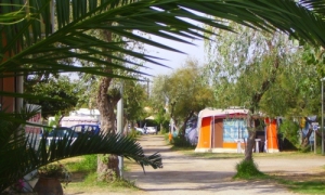 Camping Méditerranée - Frontignan