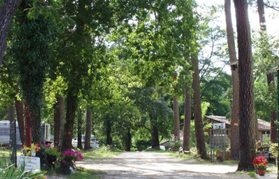 Camping Vert Bord’Eau - Saint-Symphorien