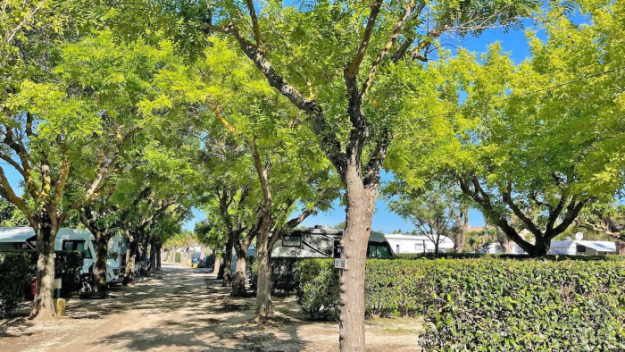 Camping Beau Sejour - Le Lavandou